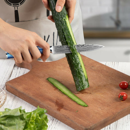 Japanese chef's knife Set with blue handle