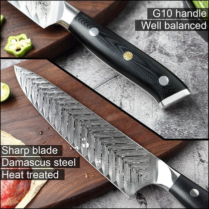 Hand Forged VG10 67 Layers Damascus Steel Chef Knives