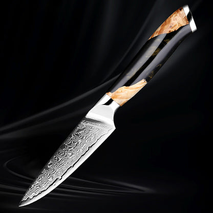 VG10 Damascus Kitchen Knife Set