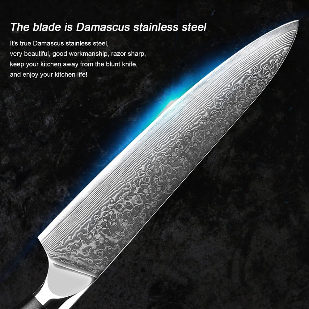 Damascus Steel Knife Set, Professional Japanese Chef Knives