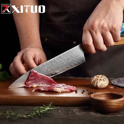 Kitchen Knives 67 Layers Damascus Japanese Style Sharp Blade Chef Knife